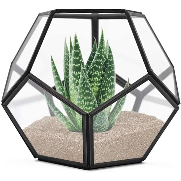 Geometrisk terrarium för bordsskiva, 7,8 x 7,8 x 6,5 tum metall med