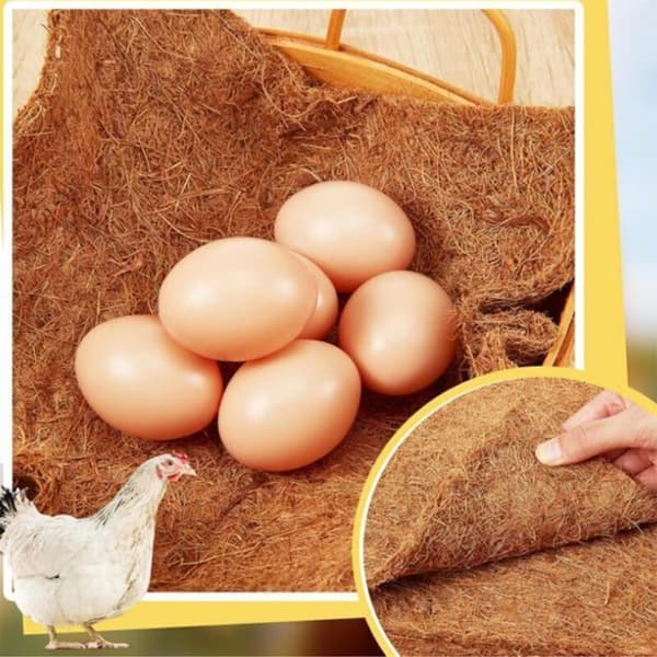 Set med 4 reden – kokosfiberfoder för hönshus, trädgårdsfoder för hönshus och betesmark, fjäderfätillbehör (16 cm x 16 cm)