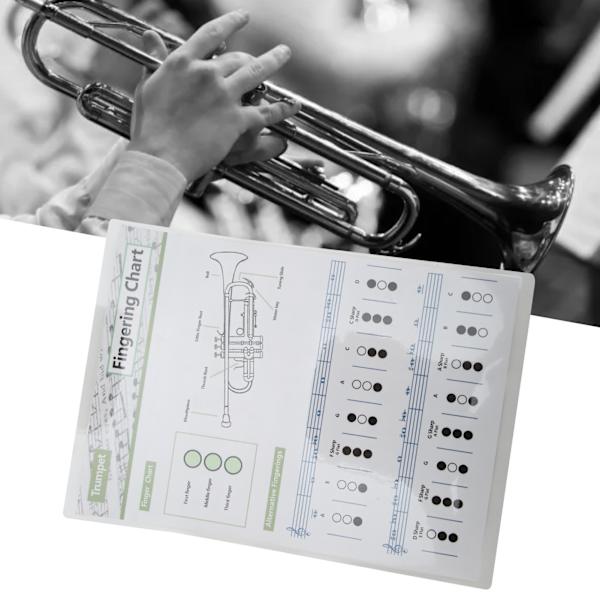 Trompet Akkorddiagram Fingersetting Noter Musikk Instrument Referanseguide for Hjem Klasse Liten