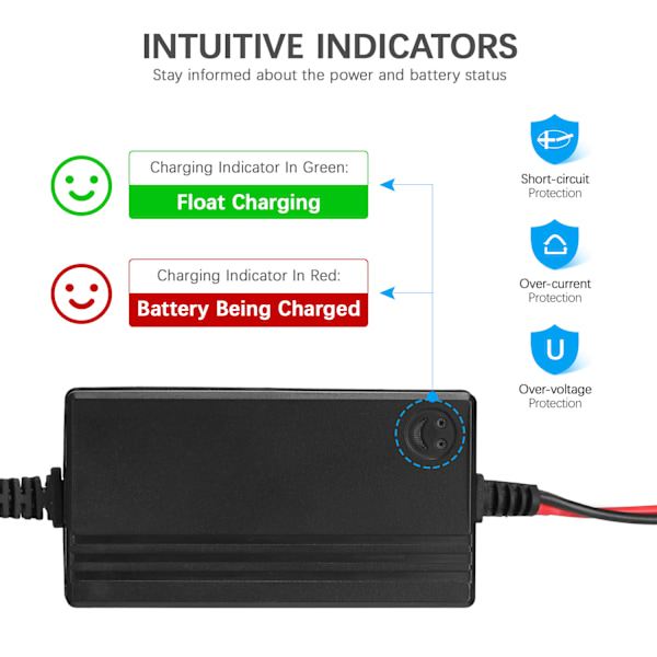 12V bärbar automatisk batteriladdare