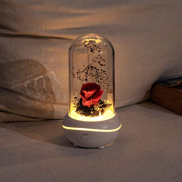 Bevarad doft, bärbar lampa, uppladdningsbar, USB-aromdiffusor