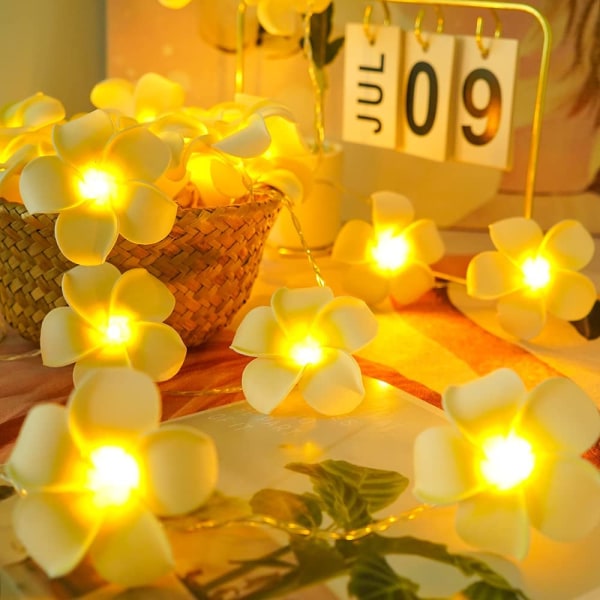 LED konstgjorda Plumeria Flower String Lights- Hawaiian Foam Fran 9.8ft 20led