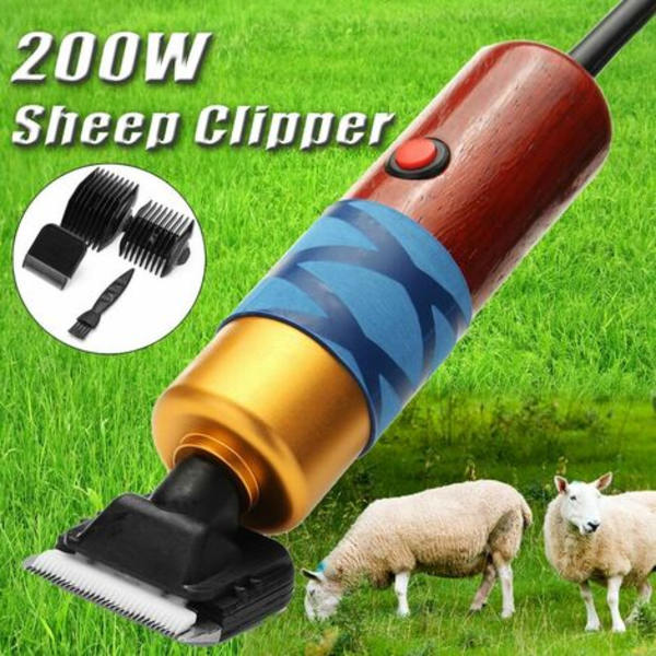 200w Elektrisk Klippemaskin for Dyr Hund Sau Katt Cisea