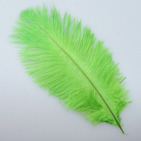 Engros 10 stk naturlige han-strudsefjer 25-30 cm/10-12 tommer Stor fluff Grøn