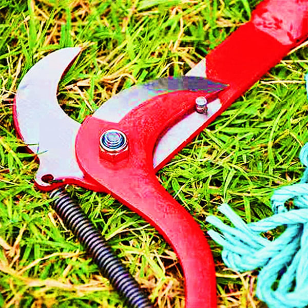 Branch Hedge Havearbejde Bush Pole Trimmere Værktøjssæt Supplies