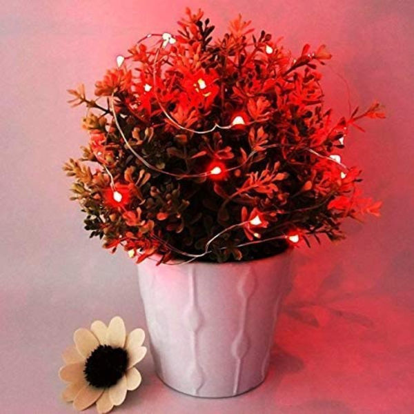 24-pack Fe-ljus drivna av batteri, 9,8 fot 30 LED, Mini Starry Sky