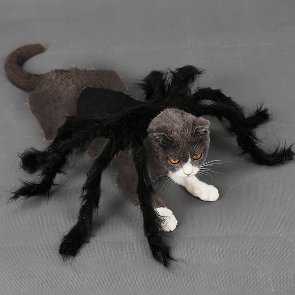 Halloween Edderkoppekostume til Hund Kat, Halloween Kattekostume til D