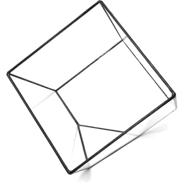 Ultra 10x10x10 Kvadratisk Klar Glas Terrarium Planter