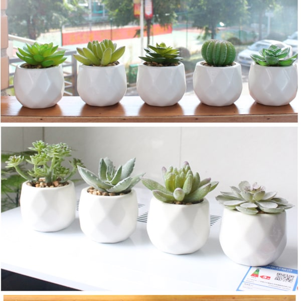 Moderna geometriska keramiska krukor Olika realistiska suckulenter, Set