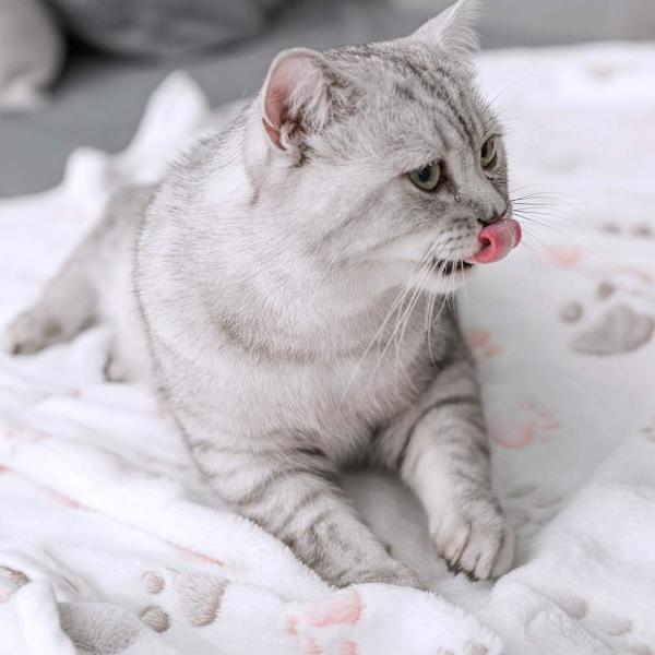 Supermjuk varm och mjuk filt för husdjur Hundfilt Kattfilt Fleecefilt/Djursömnfilt Överkast för hundsäng soffa och soffa