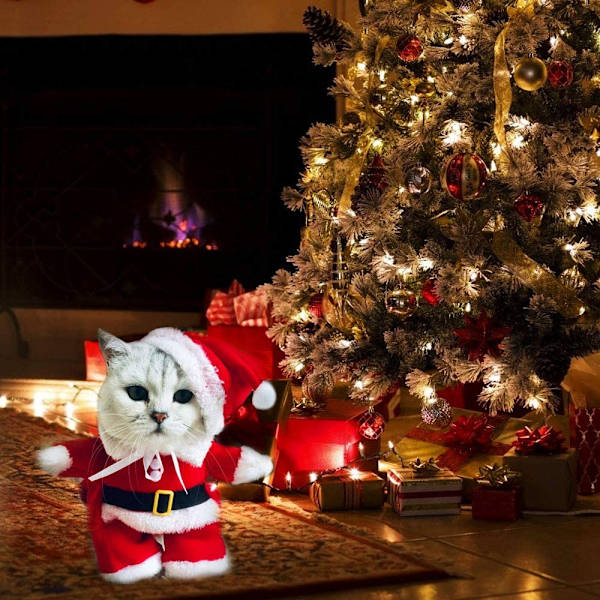 Julemandskostume til hund og kat, tøj til kæledyr