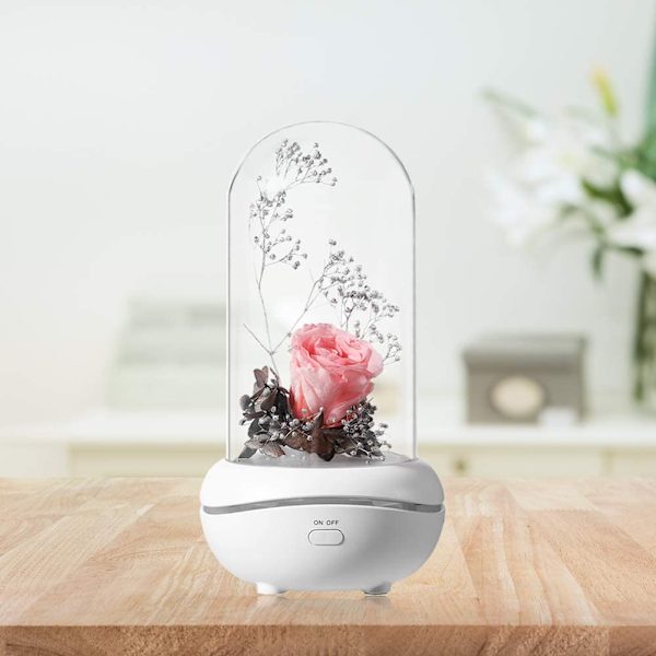 Bevarad doft, Bärbar Lampa, Uppladdningsbar, USB Aroma Diff Rose