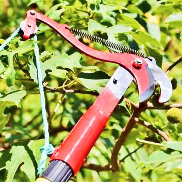 Branch Hedge Havearbejde Bush Pole Trimmere Værktøjssæt Supplies