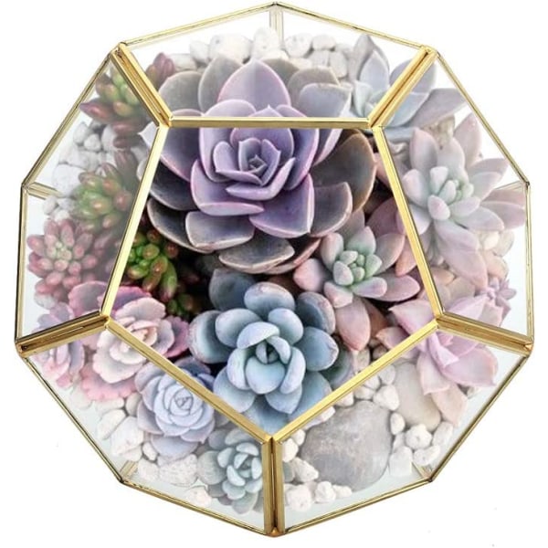 Bordsskiva geometriskt terrarium, 7,8 x 7,8 x 6,5 tum metall med Gold