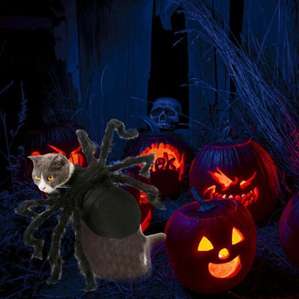 Lemmikki Hämähäkki Puku Halloween Lemmikki Hämähäkki Vaatteet Koira Kissa Kauhu Simulaatio Pehmo Hämähäkit Pukeutua Puku