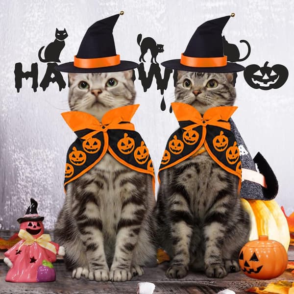 Halloween kattekapper 2 stykker kæledyrsdragter, græskarmønster kæledyrskappe troldmandshat sæt til killing kat