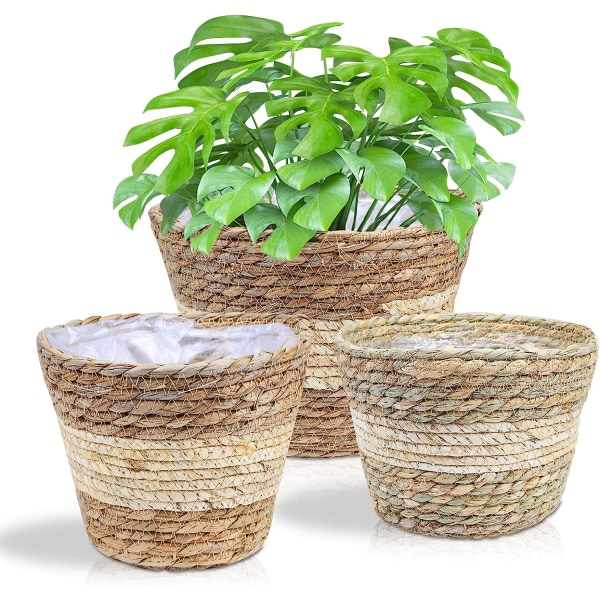 Set med 3 växtkorgar, flätad blomkorg, gammaldags