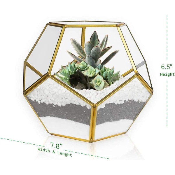 Bordsskiva geometriskt terrarium, 7,8 x 7,8 x 6,5 tum metall med Gold