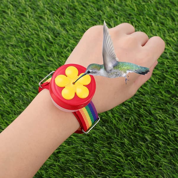 Kolibri Håndfoder Blomst Håndholdt Kolibri Foderværktøj Mini Håndfoderværktøj Kolibri Ringfoder til Udendørs Baghave Natur, Rød