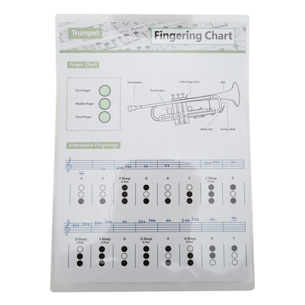 Trompet Akkorddiagram Fingersetting Noter Musikk Instrument Referanseguide for Hjem Klasse Liten