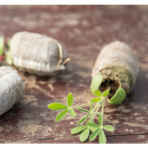 5-pack fröplantningsbrickor, miniväxthus med kupoler och