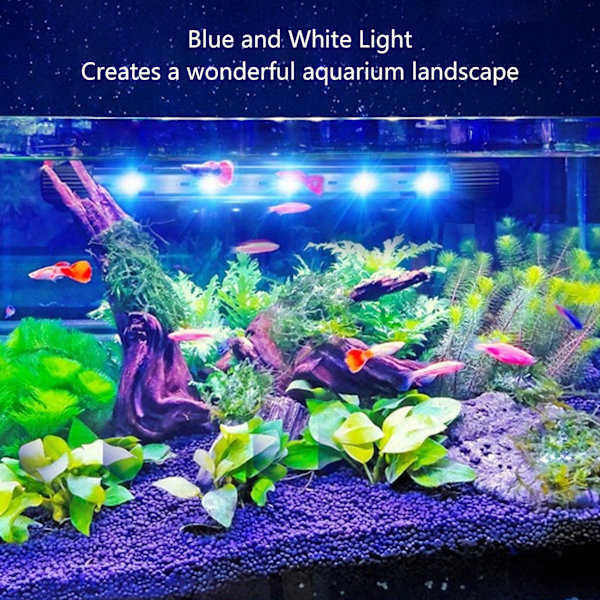 LED Akvarie Lys Høj Lysstyrke Nedsænkelig Blå Hvid Fisk Tank Lampe til Landskab EU Stik 220V ZY 15A Uden Afbryder