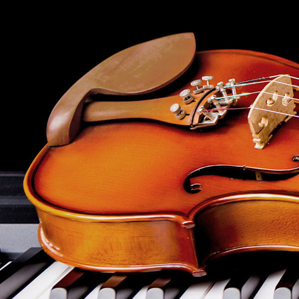 Trähakstöd för violin i öronform med skruvar, tillbehör för 3/4 och 4/4 violiner