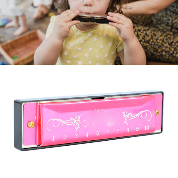 Harmonica 10 Hole 20 Tune C Key Professional Standard Mouth Organ with Case for Kid Beginner Rose Red