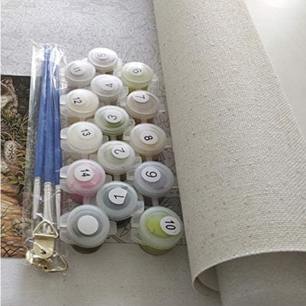 Kreativ Måla efter nummer-kit för vuxna, Akrylfärger Set Linne Canvas Gör-det-själv Konstkit för heminredning (16X20 tum)