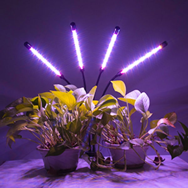 LED Grow Lights til indendørs planter Full Spectrum Plant Light