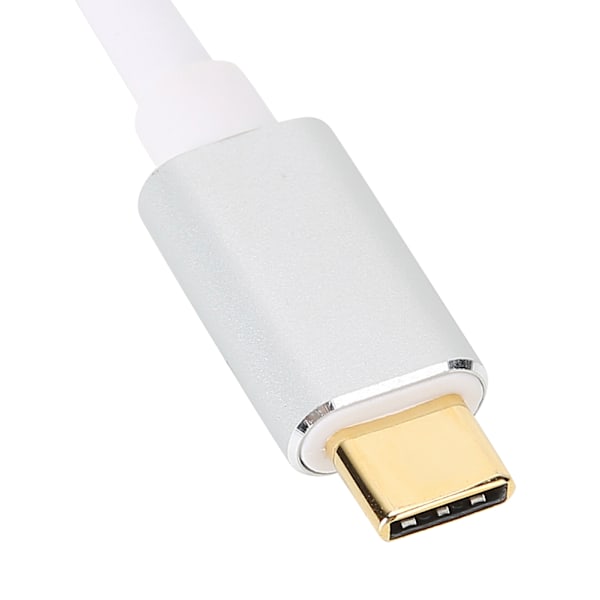 Typ C TILL DP/DP TILL VGA Kaskadkombination Patch Cord Converter Adapter Kabel Tillbehör