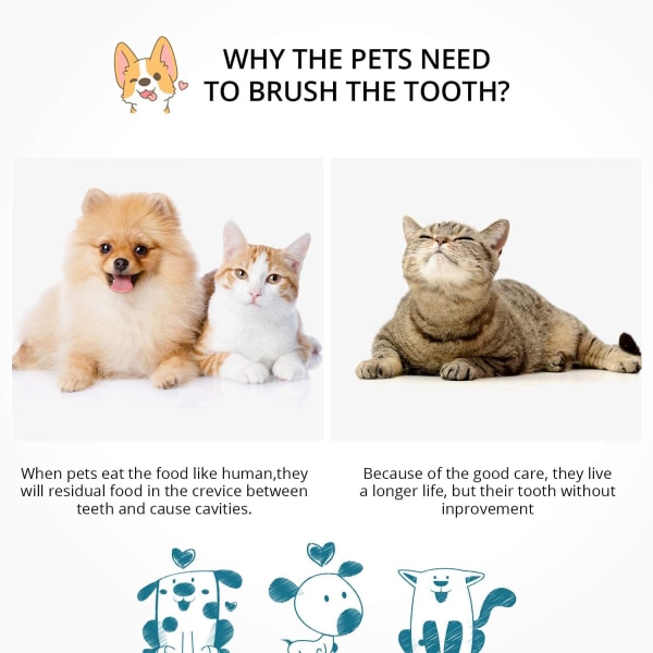 3 kpl Pieni lemmikkieläinten hammasharja Tuftainen hammasharjan päätytuki