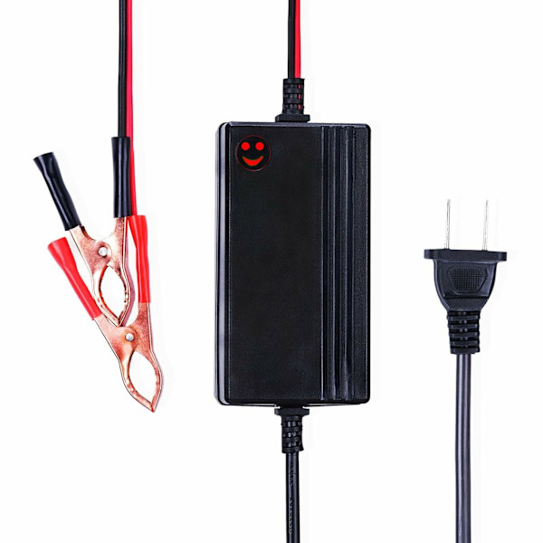 12V bärbar automatisk batteriladdare