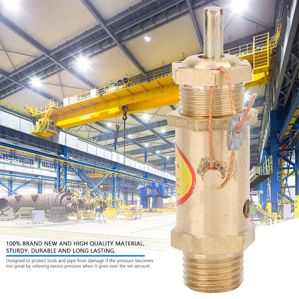 G1/4 Säkerhetsventil för luftkompressor för ånggenerator för panna (8KG)