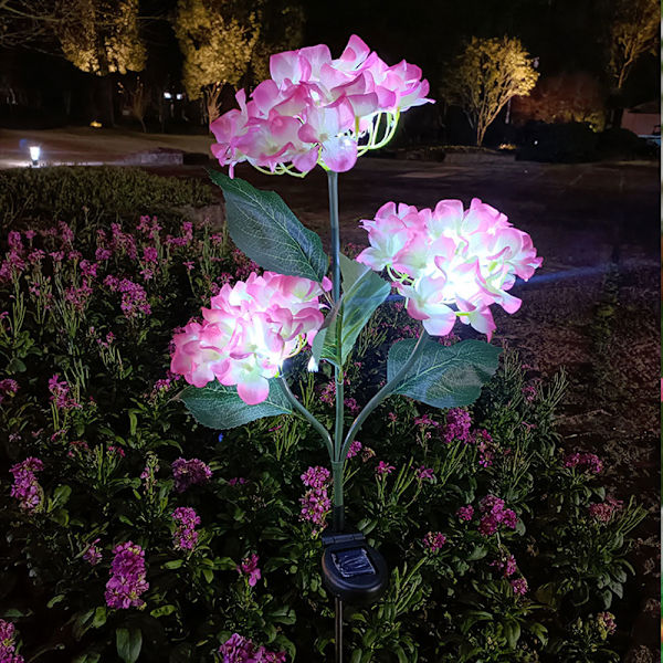 2-pack solcellslampor utomhus, färgglada, hortensia blomljus