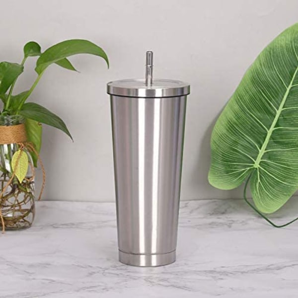 Aiboria 750ml / 25oz rustfrit rejsekrus i rustfrit stål med sugerør og låg