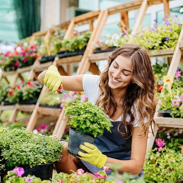 Beskärare Trädgårdssax med Rostfria Stålblad Floristsax