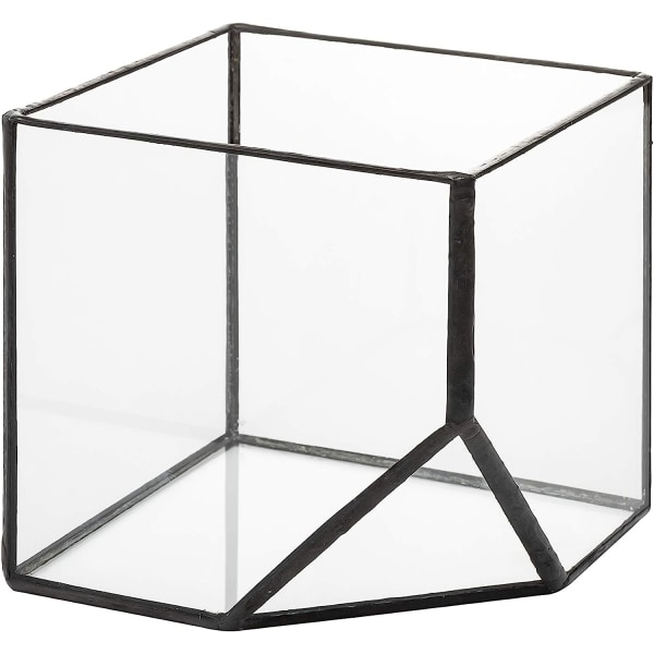 Ultra 10x10x10 Kvadratisk Klar Glas Terrarium Planter