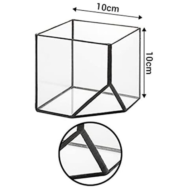 Ultra 10x10x10 neliömäinen kirkas lasinen terraarioistutusastia