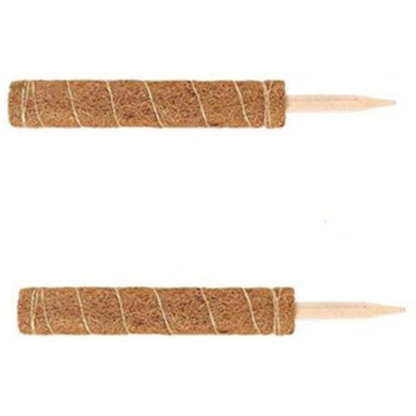 2 stk. Kokosnøddepind 40cm Plantepind Kokos Totem Stang Mosstang