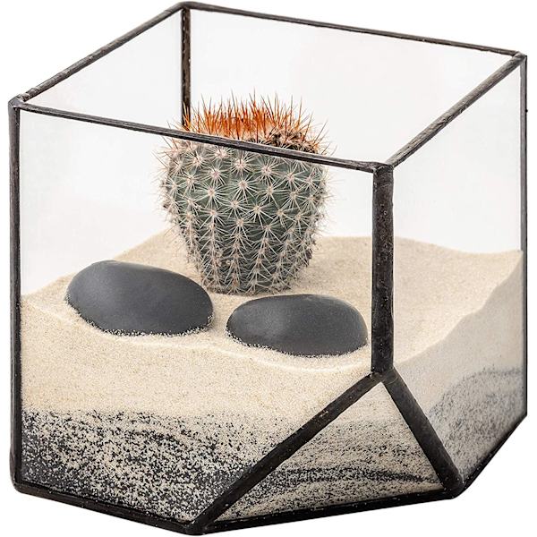 Ultra 10x10x10 neliömäinen kirkas lasinen terraarioistutusastia