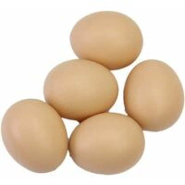 Falska ägg konstgjorda kyckling fjäderfä coop plast bo bekväm och praktisk-5PCS