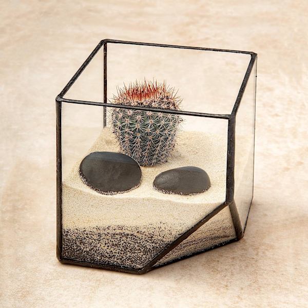 Ultra 10x10x10 Kvadratisk Klar Glas Terrarium Planter