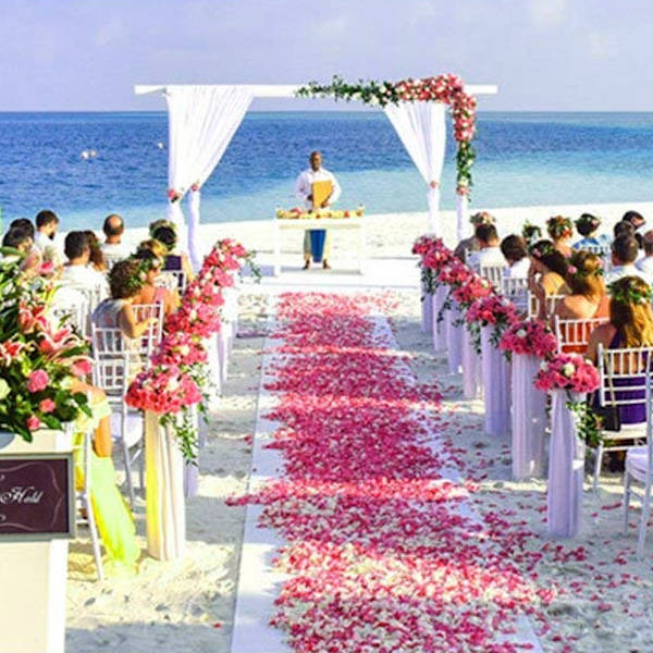 1000 stk kunstige blomsterblad av rose for bryllupsdekorasjon,