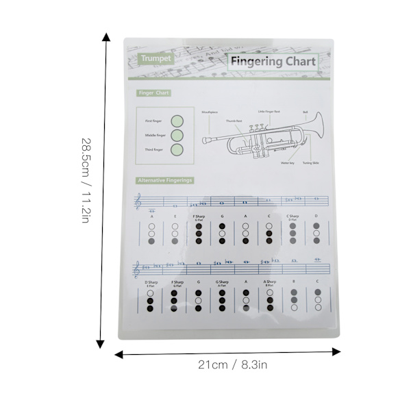 Trompet Akkorddiagram Fingersetting Noter Musikk Instrument Referanseguide for Hjem Klasse Liten