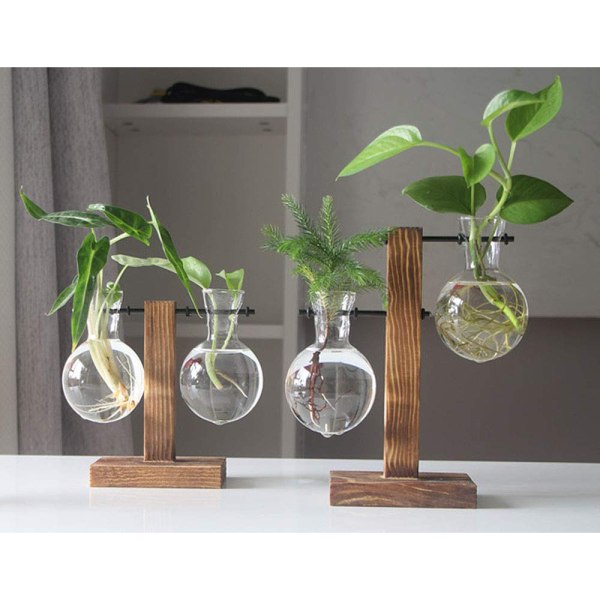 Hydroponic Vintage Planter Bulb Vase Desktop Hængende Glas
