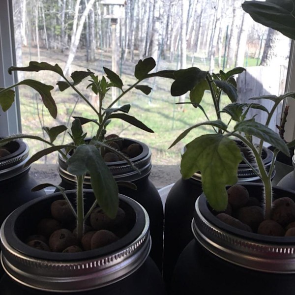 10 stk. Hydroponiske plantepotter i nett til frøplanter, plantepotter til hagebruk