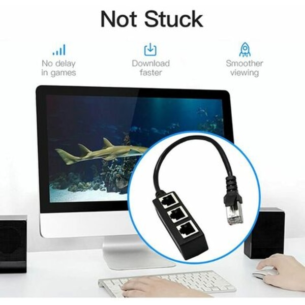RJ45 Ethernet-jakokaapeli, Ethernet LAN -verkko