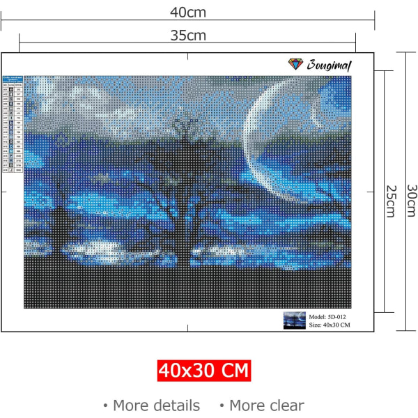 Diamantmaleri Kit Voksen Begynder Kunst 5D Måneskov Nat