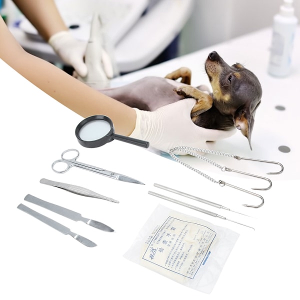 Dissektionskit av professionell kvalitet: Dissektionsverktyg i rostfritt stål för veterinär anatomi och biologilabb